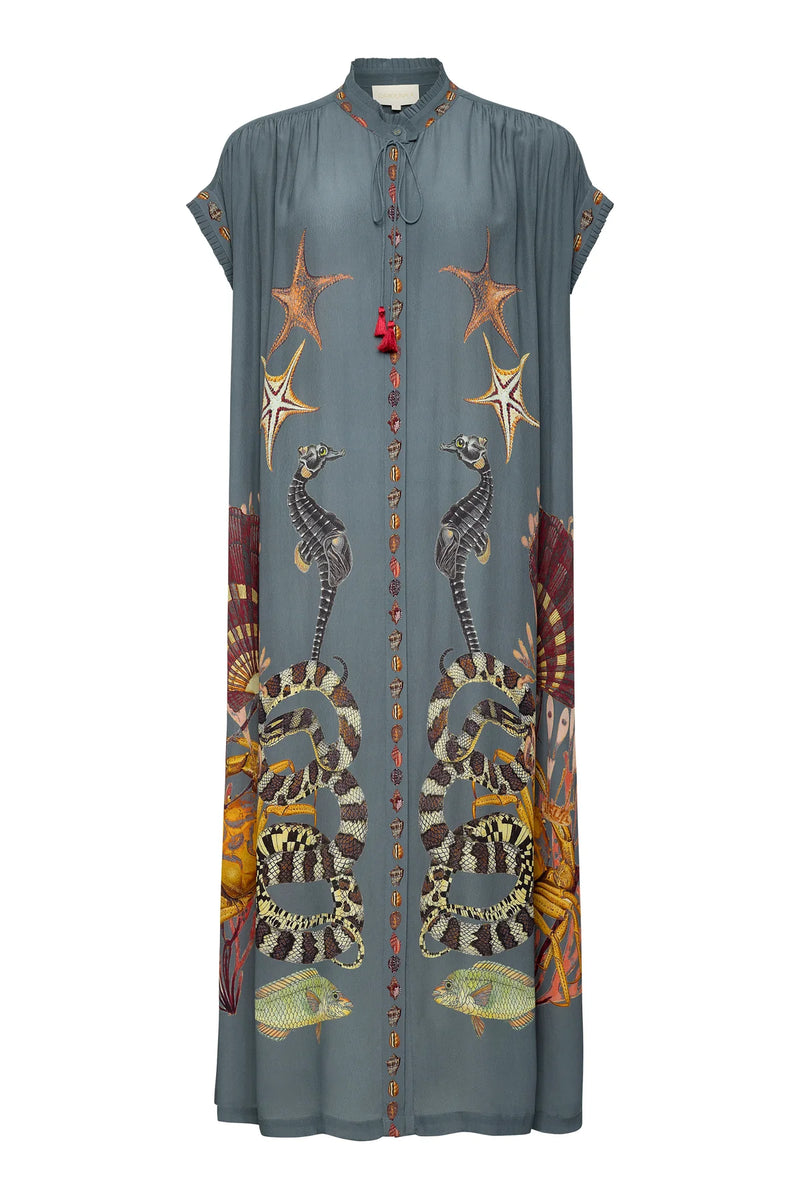 Valerie Kaftan Gray Coral Reef