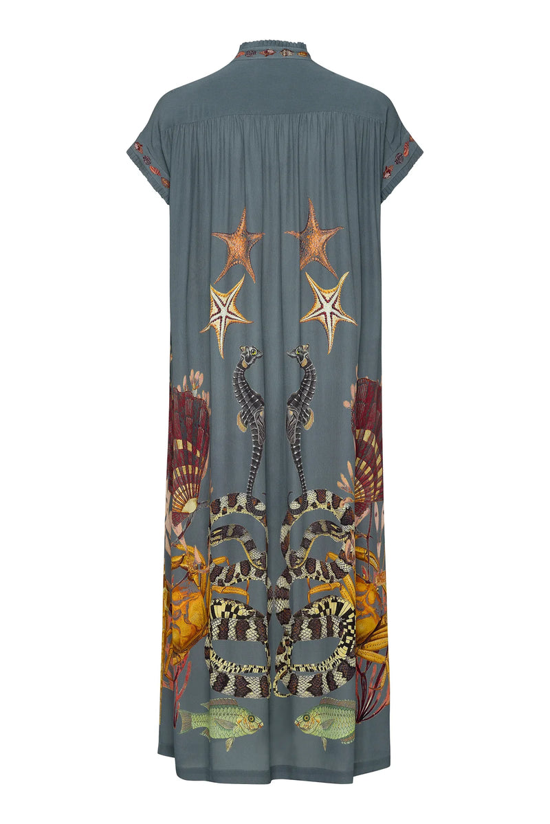 Valerie Kaftan Gray Coral Reef