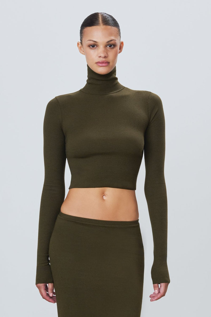 Cropped Fitted Turtleneck Top