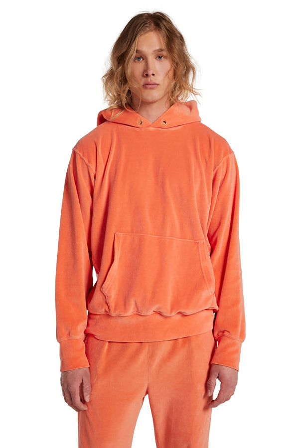 Cropped Velour Hoodie (Final Sale)